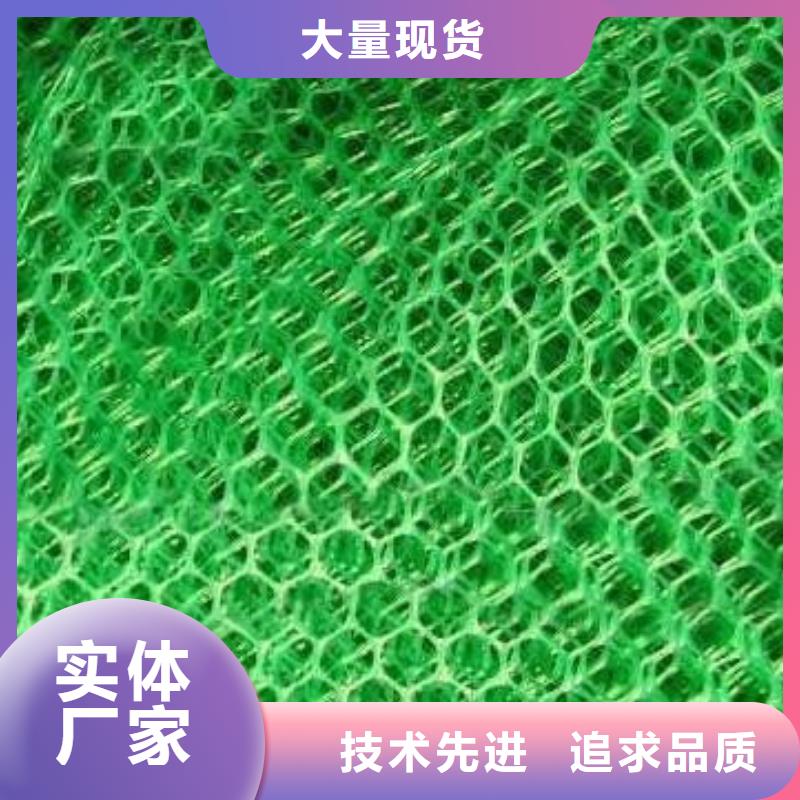 三维植被网土工格室精工制作当地生产厂家