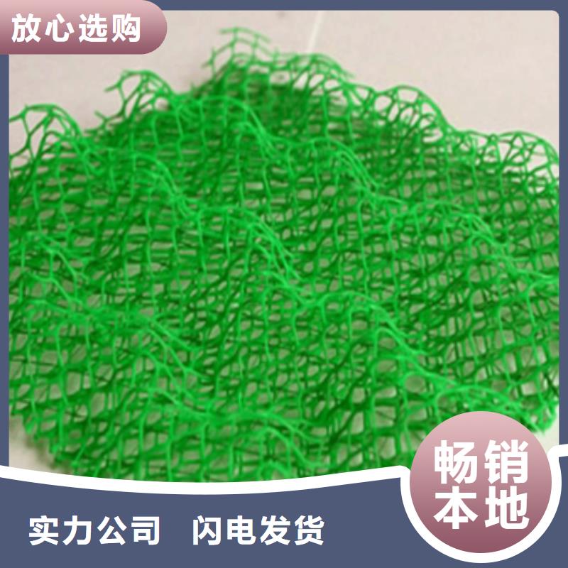 三维植被网钢塑土工格栅一个起售源头厂家量大价优