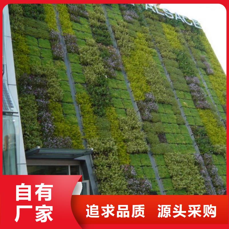 三维植被网用品质赢得客户信赖多年厂家可靠