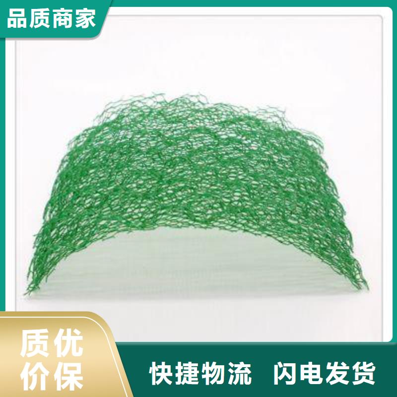 三维植被网,钢塑土工格栅质量优价格低快捷物流