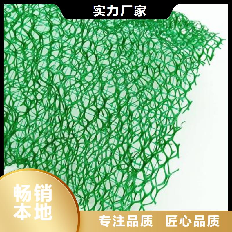 三维植被网,【玻纤格栅】货源充足市场报价