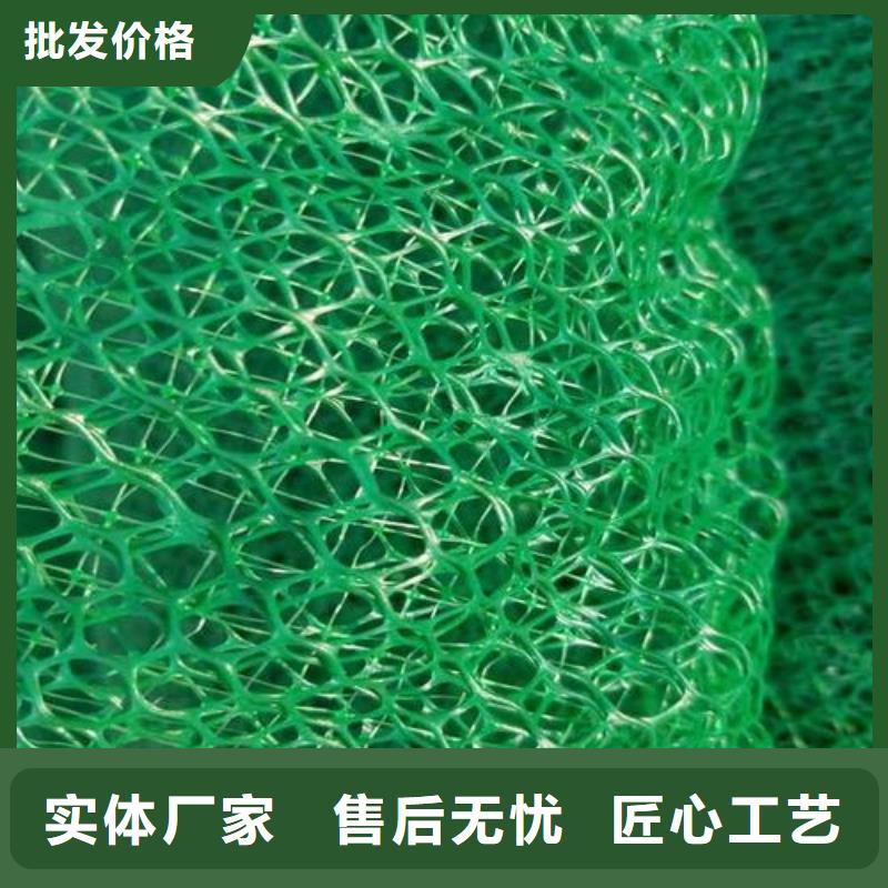 【三维植被网】钢塑土工格栅好货采购当地生产商