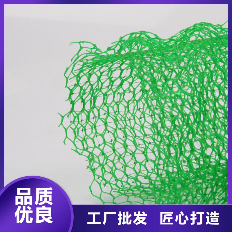 三维植被网单向拉伸塑料格栅质检严格放心品质客户好评