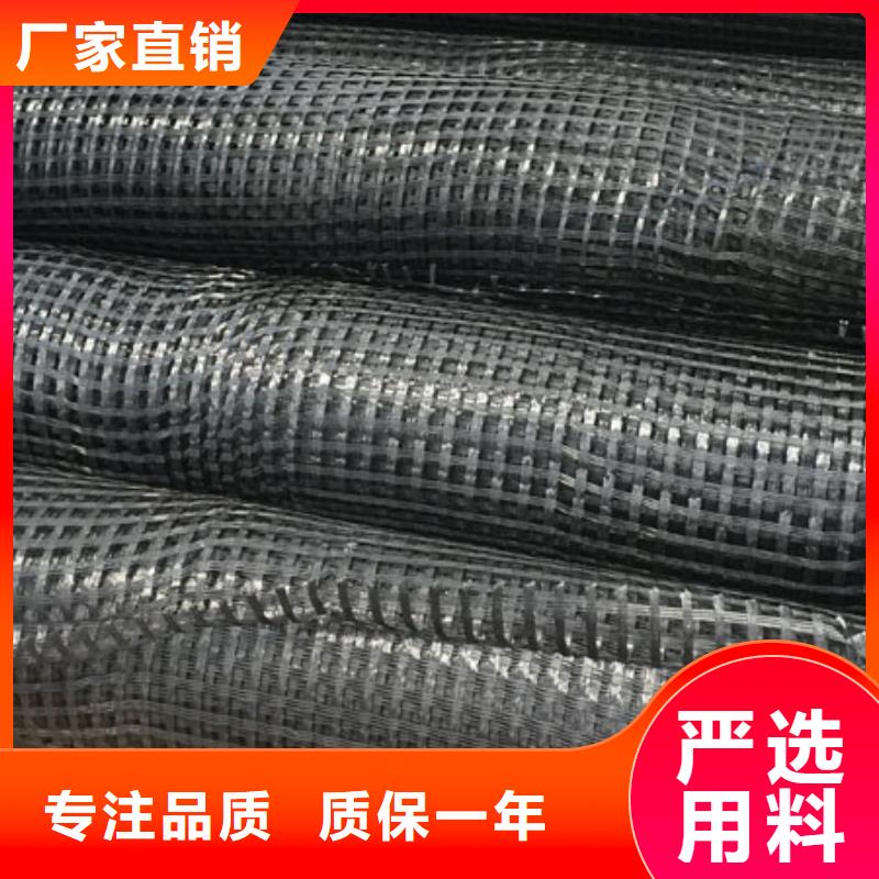 玻纤土工格栅钢塑土工格栅快速物流发货现货直供