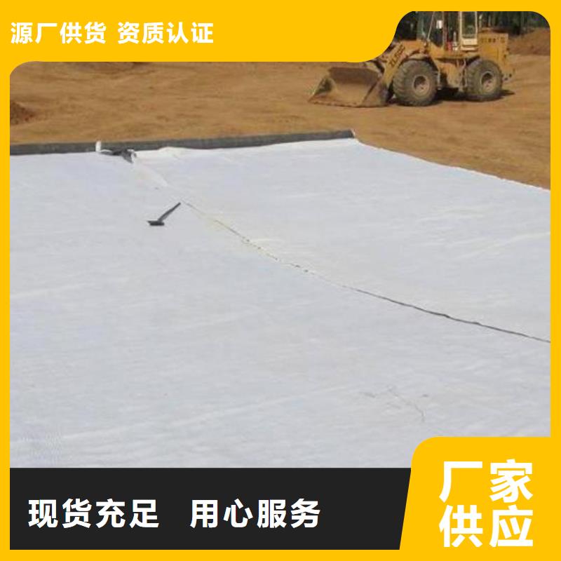 膨润土防水毯长丝土工布工厂现货供应同城经销商