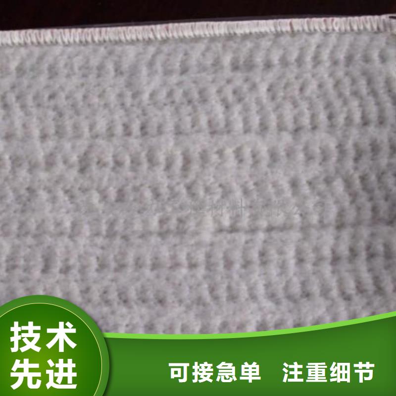 膨润土防水毯护坡土工网精工打造同城厂家