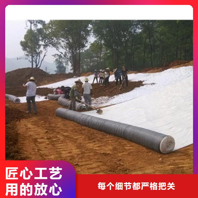 膨润土防水毯长丝土工布实力工厂经销商