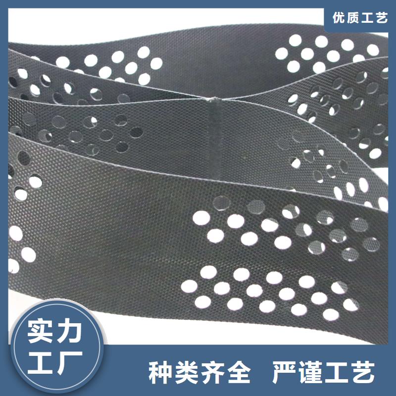 土工格室-塑料盲沟厂家经验丰富按需设计