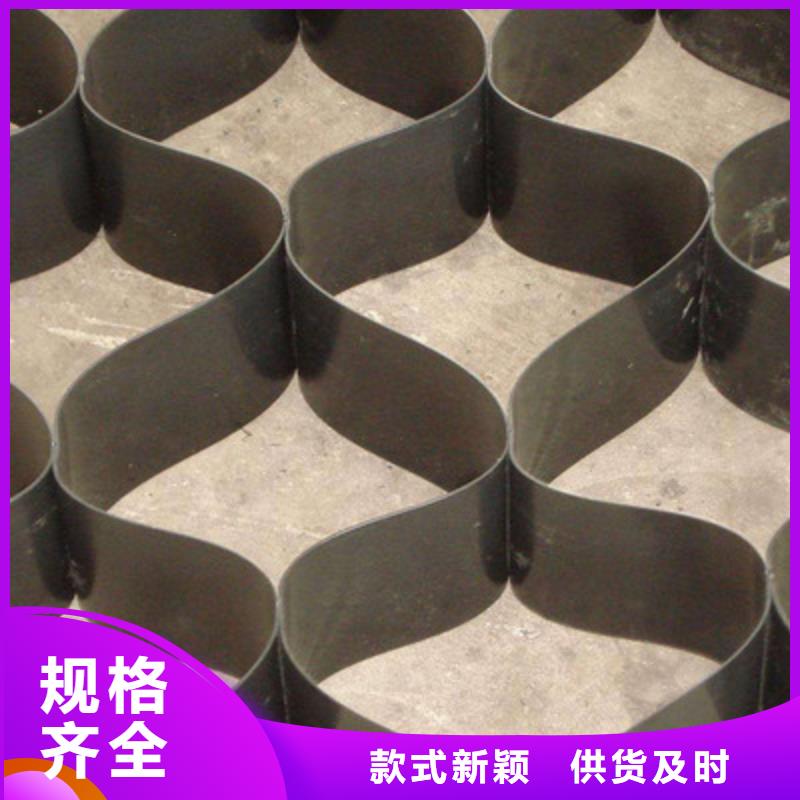 土工格室-【涤纶土工格栅】用心制作直销厂家
