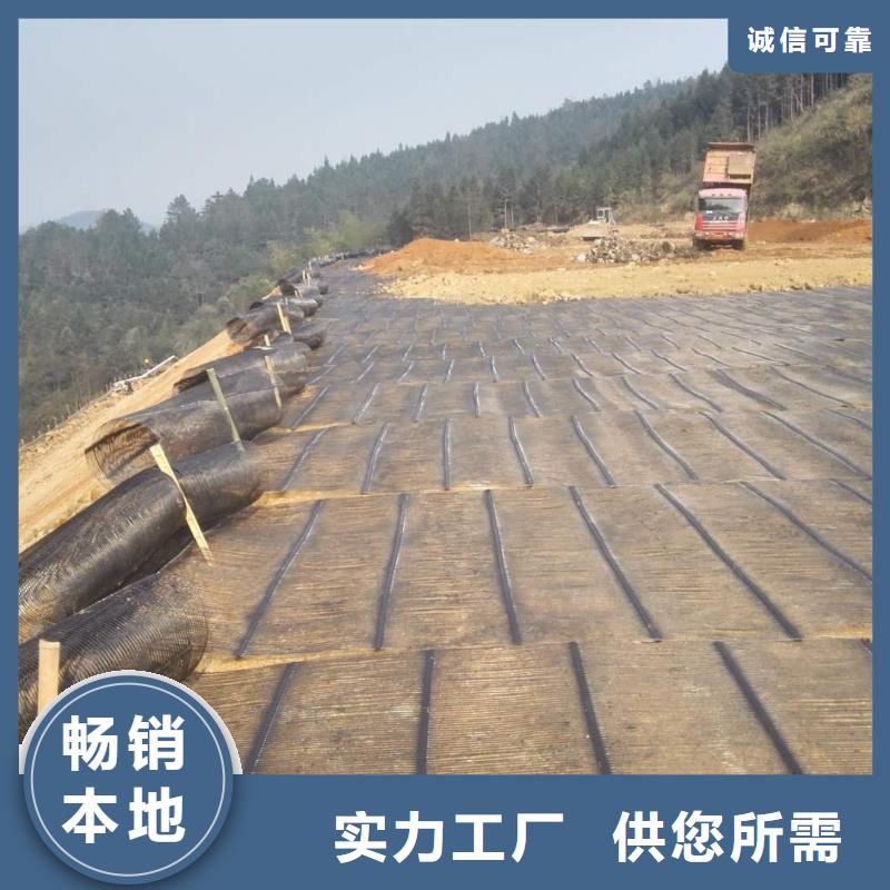钢塑土工格栅,钢塑土工格栅厂家设备齐全支持定制厂家自营