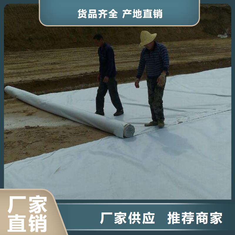 土工布-钢塑土工格栅厂家源头把关放心选购同城厂家