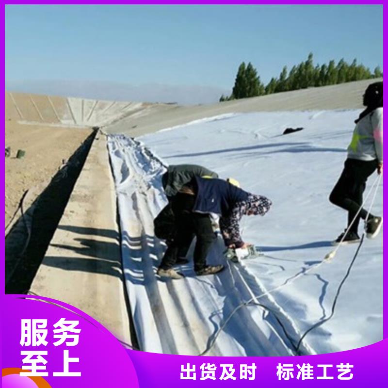 土工布玻纤土工格栅品质保证实力见证供货及时