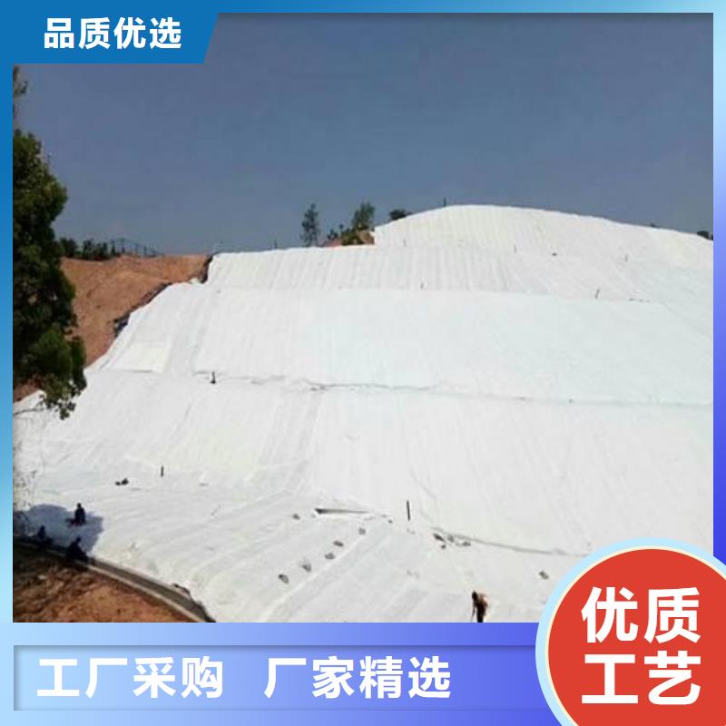 土工布三维水土保护毯定制速度快工期短不只是质量好