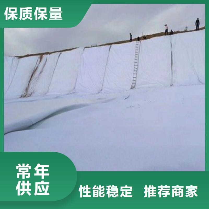 土工布【HDPE土工膜】发货迅速本地服务商