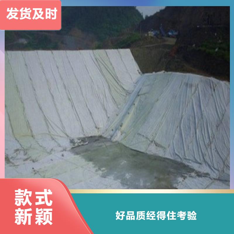 土工布聚丙烯双拉土工格栅服务始终如一同城供应商