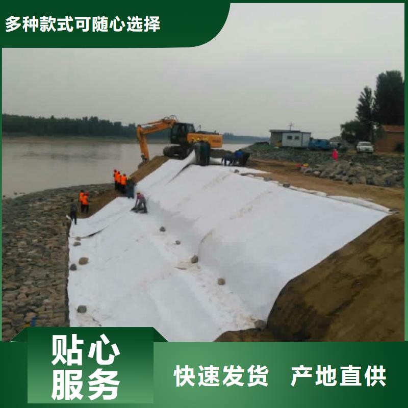 土工布凸结点钢塑土工格栅让客户买的放心实力优品