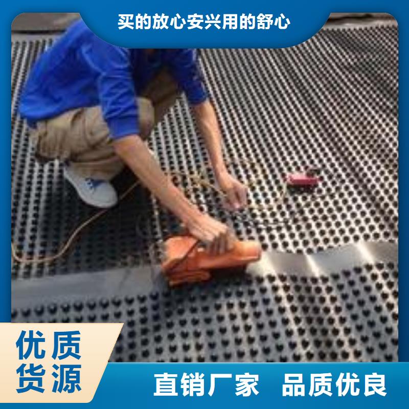 【塑料排水板】凸结点钢塑土工格栅每个细节都严格把关源头工厂
