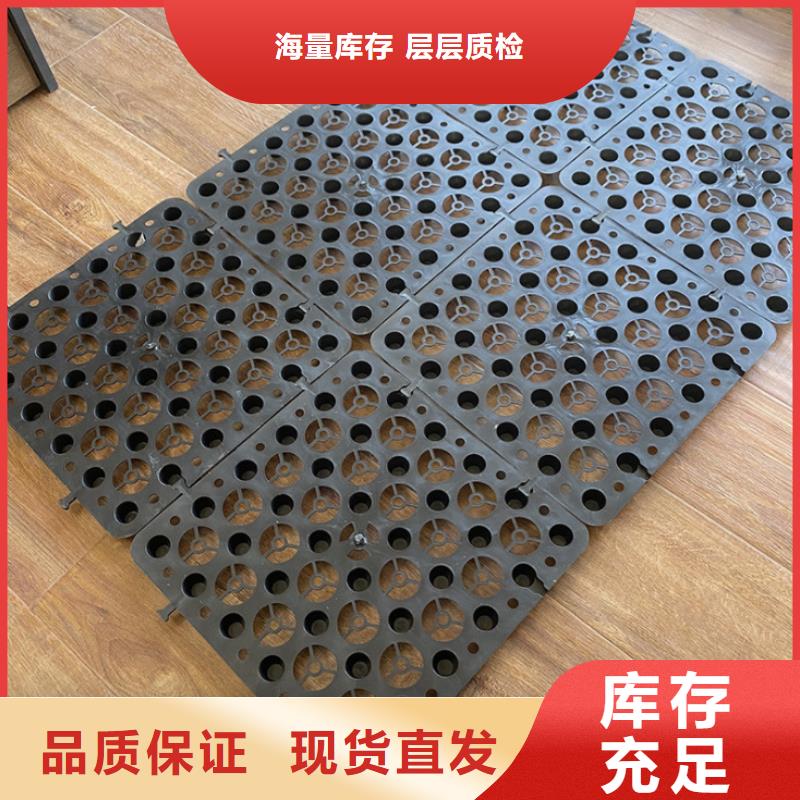 塑料排水板涤纶土工格栅用心经营专业设计