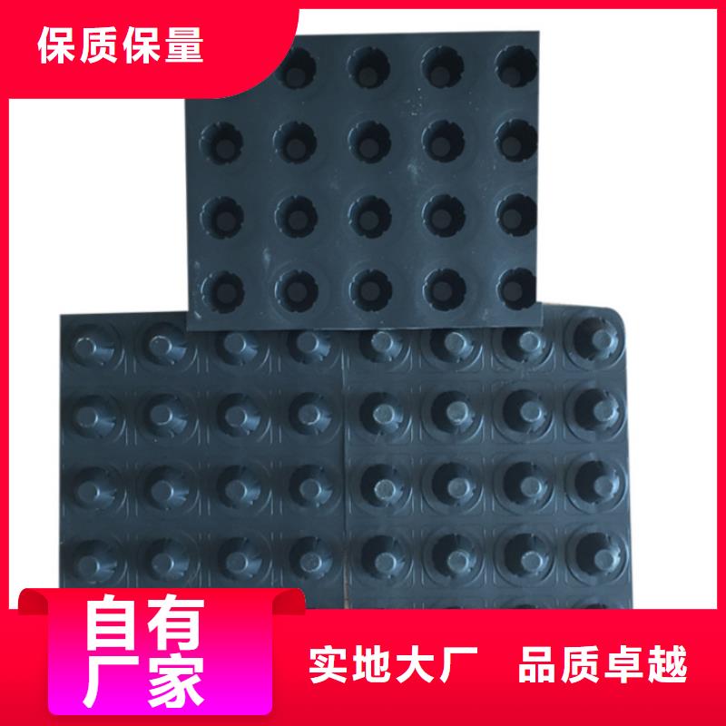 塑料排水板-三维土工网垫现货供应当地服务商