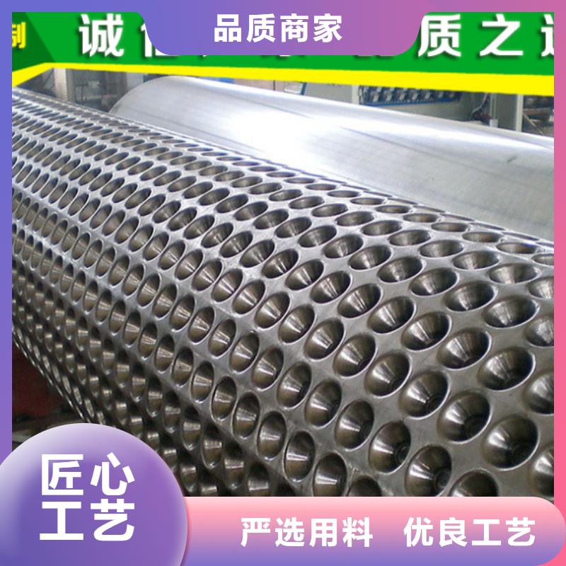 塑料排水板土工膜的图文介绍当地公司