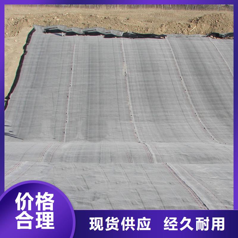 【防水毯】双向塑料土工格栅真材实料诚信经营一周内发货