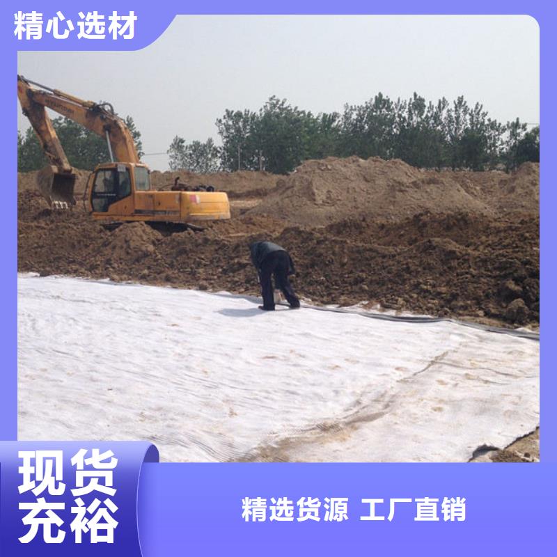 防水毯三维植被网厂家有口皆碑厂家直销