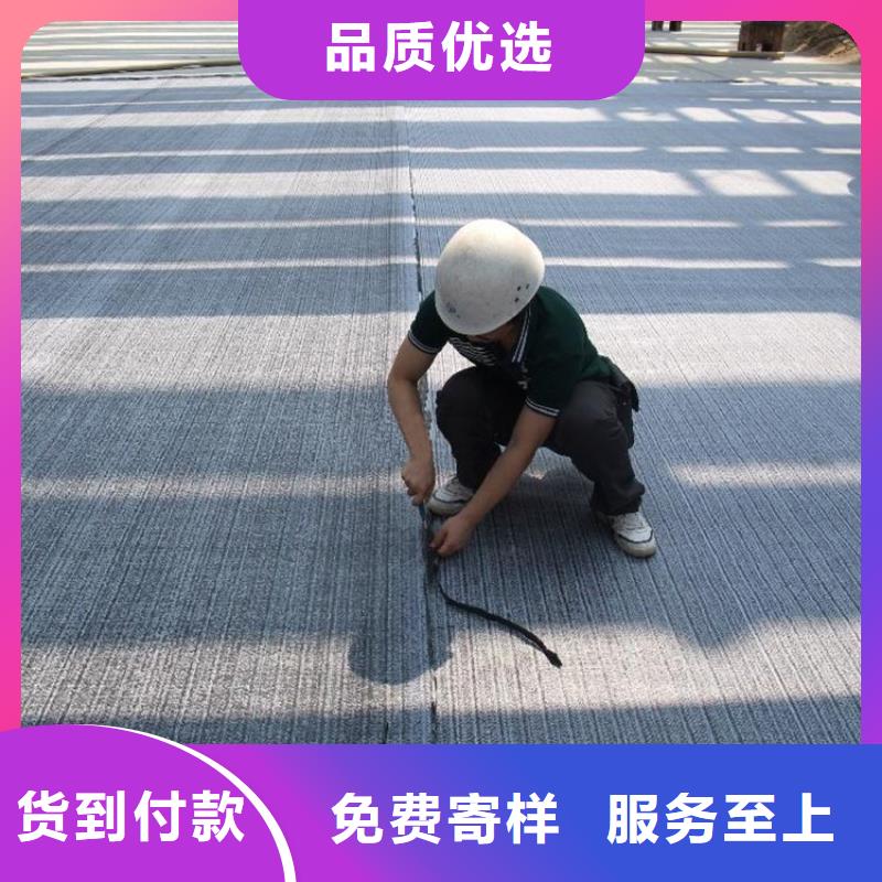 防水毯土工席垫规格齐全实力厂家当地品牌