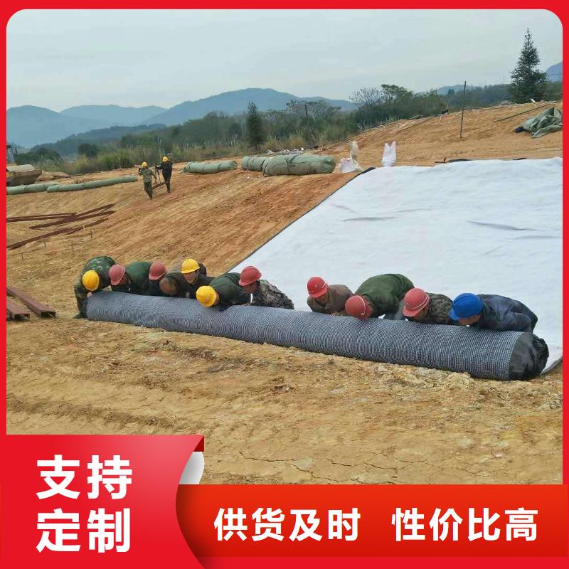 防水毯钢塑土工格栅一站式采购工厂自营