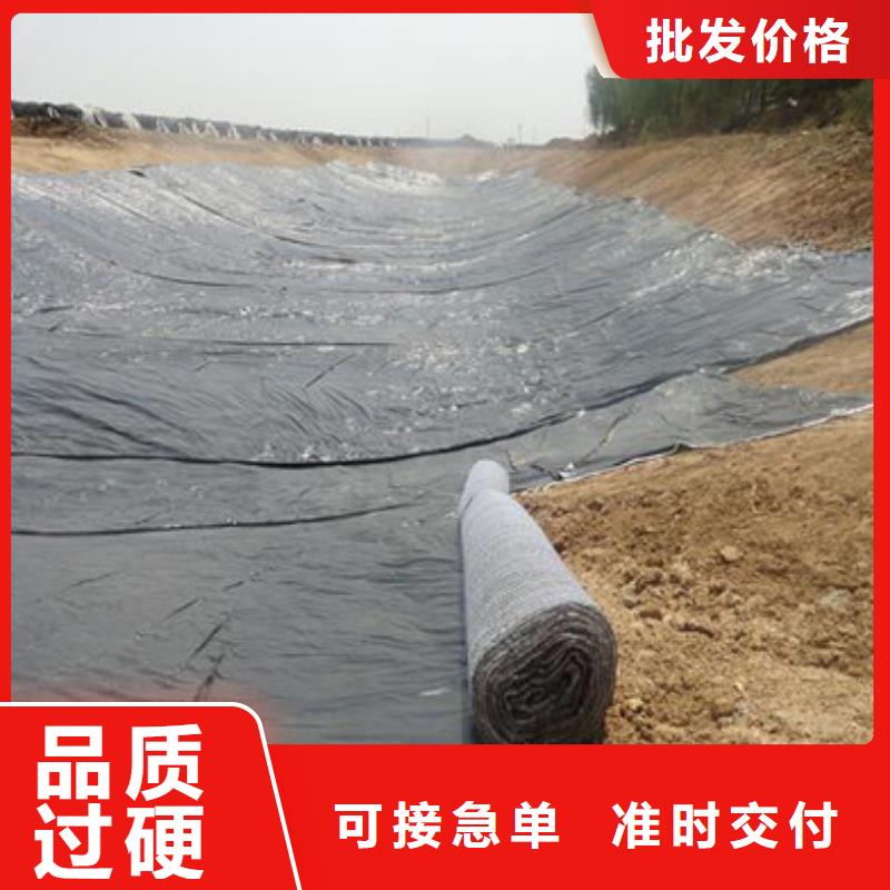 防水毯-钢塑土工格栅厂家实力工厂用品质说话