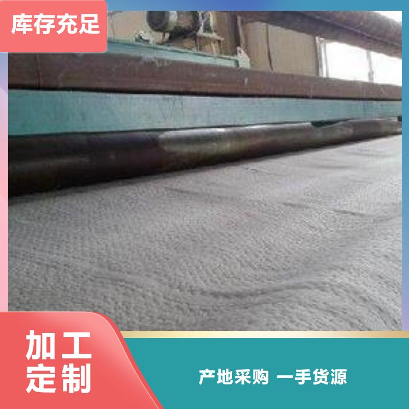 防水毯长丝无纺土工布厂家直销规格多样一手价格
