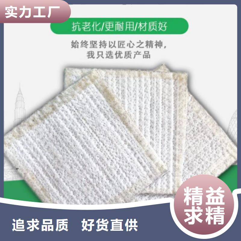 防水毯三维水土保护毯值得信赖同城制造商