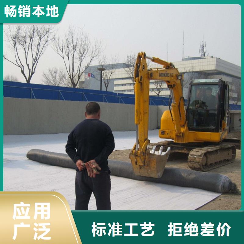 防水毯聚丙烯双拉土工格栅老品牌厂家经久耐用