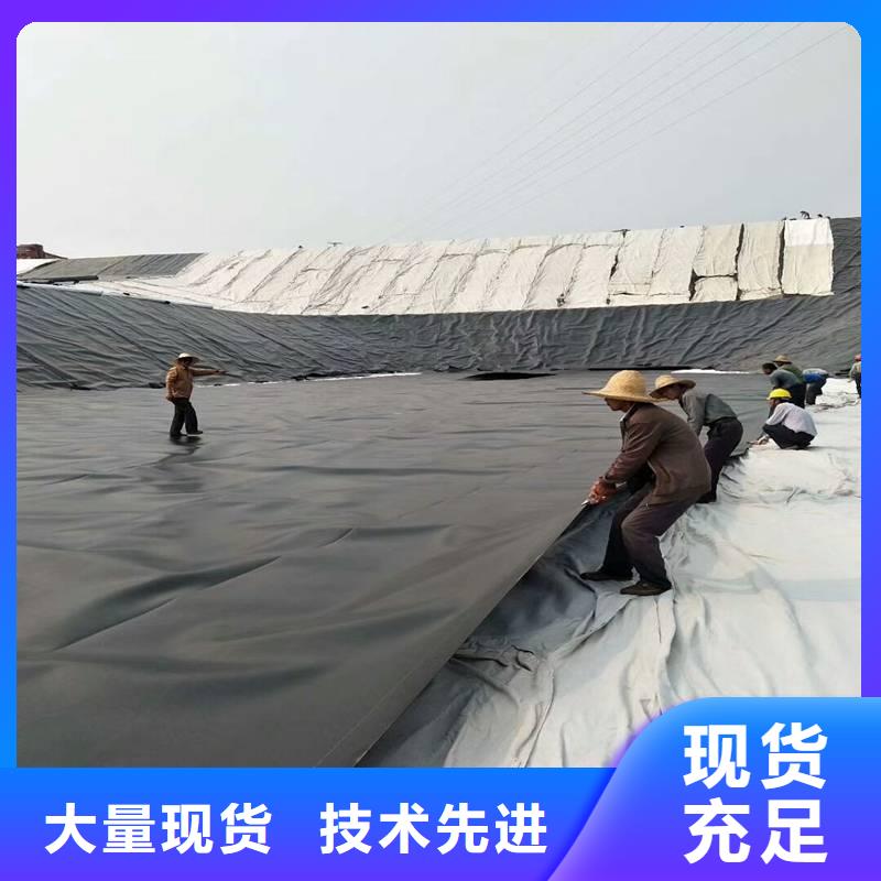 土工膜钢塑土工格栅厂家源头厂家同城生产厂家
