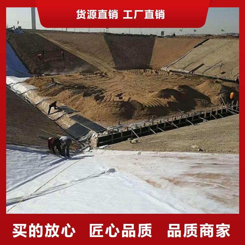 土工膜涤纶土工格栅诚信经营现货现发低价货源