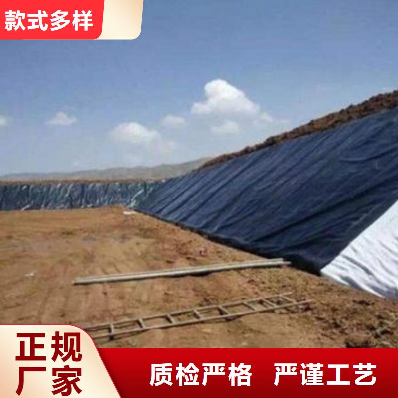 土工膜HDPE土工膜真实拍摄品质可靠当地厂家