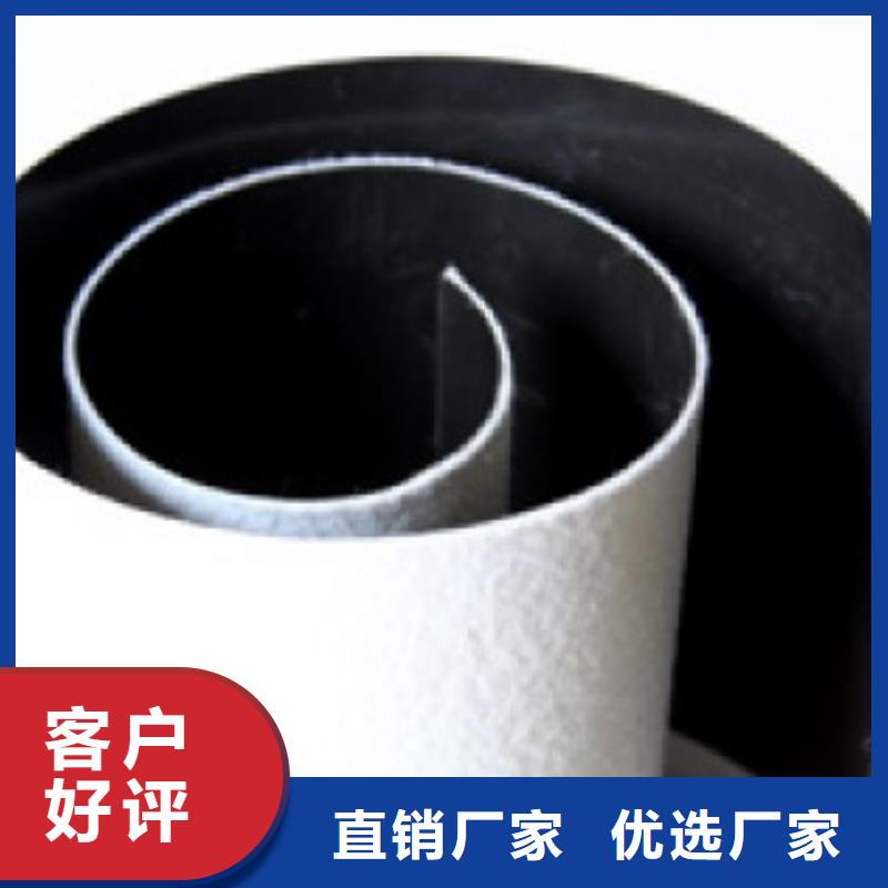 土工膜玻璃纤维土工格栅专心专注专业满足您多种采购需求