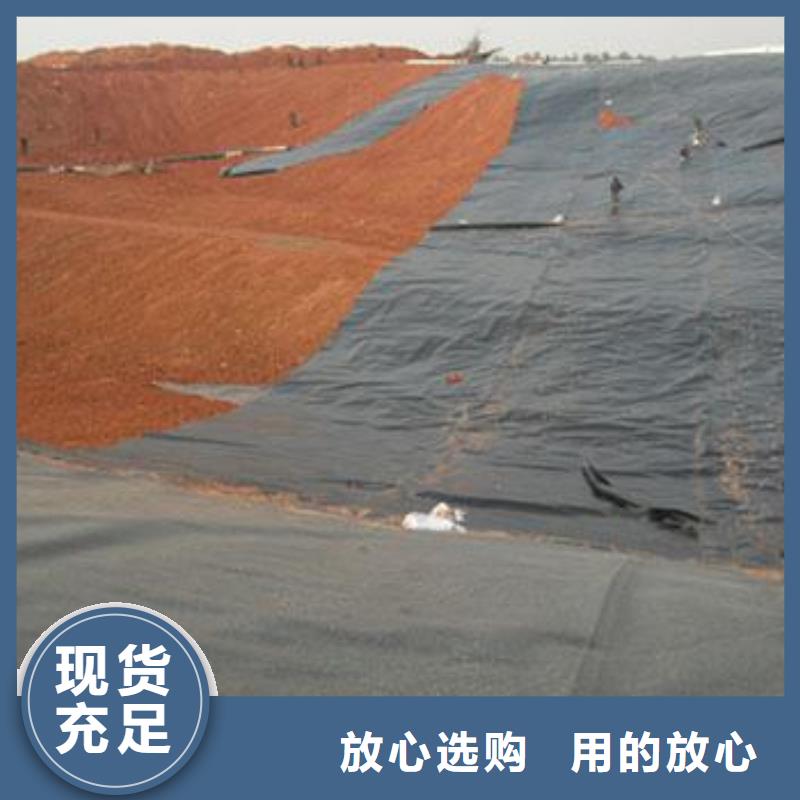 土工膜土工席垫厂家直营品质值得信赖