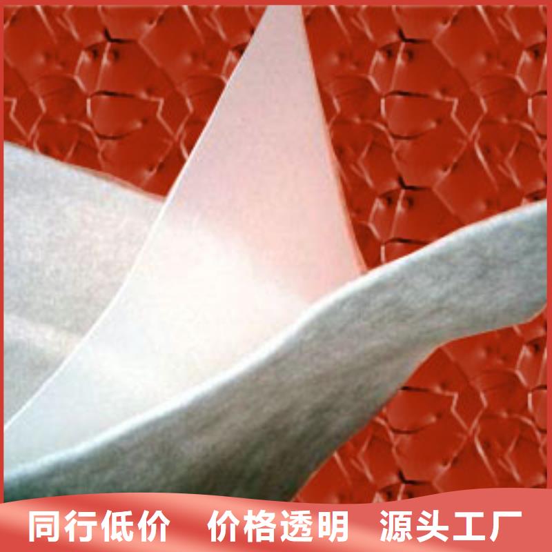 土工膜,玻纤土工格栅诚信可靠多种款式可随心选择