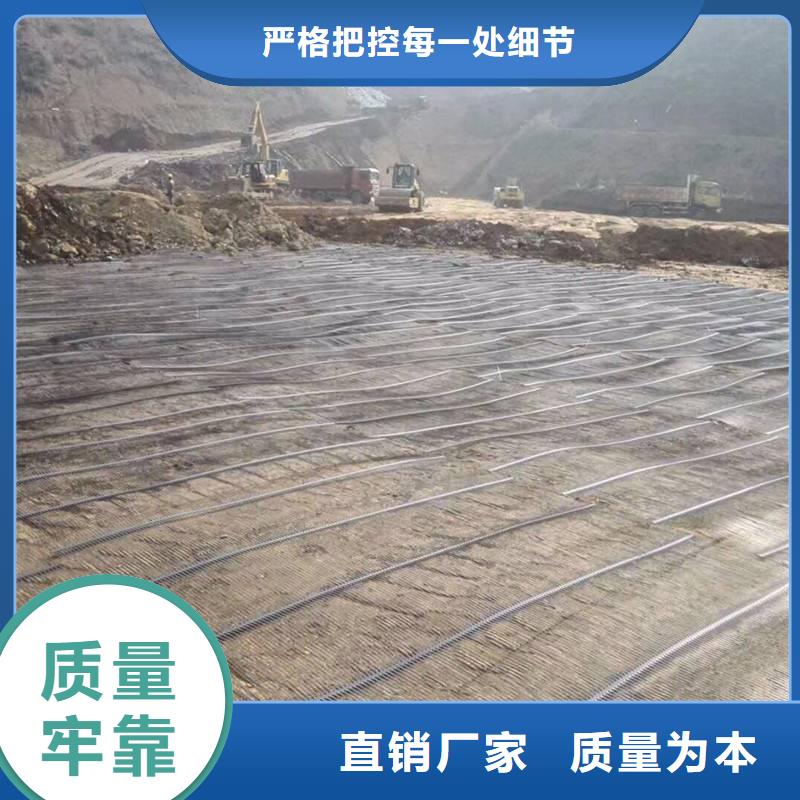 土工格栅三维水土保护毯厂家本地服务商