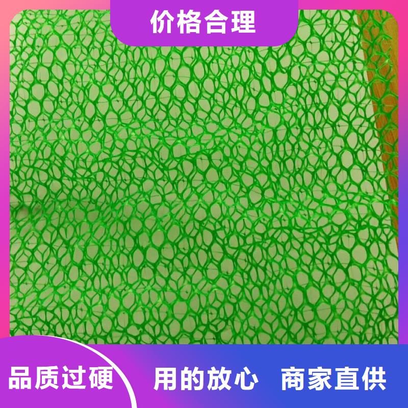 三维植被网钢塑土工格栅严选材质当地生产厂家
