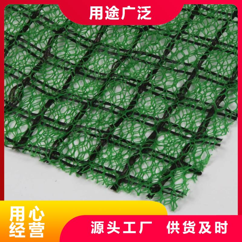 三维植被网三维水土保护毯主推产品厂家经验丰富