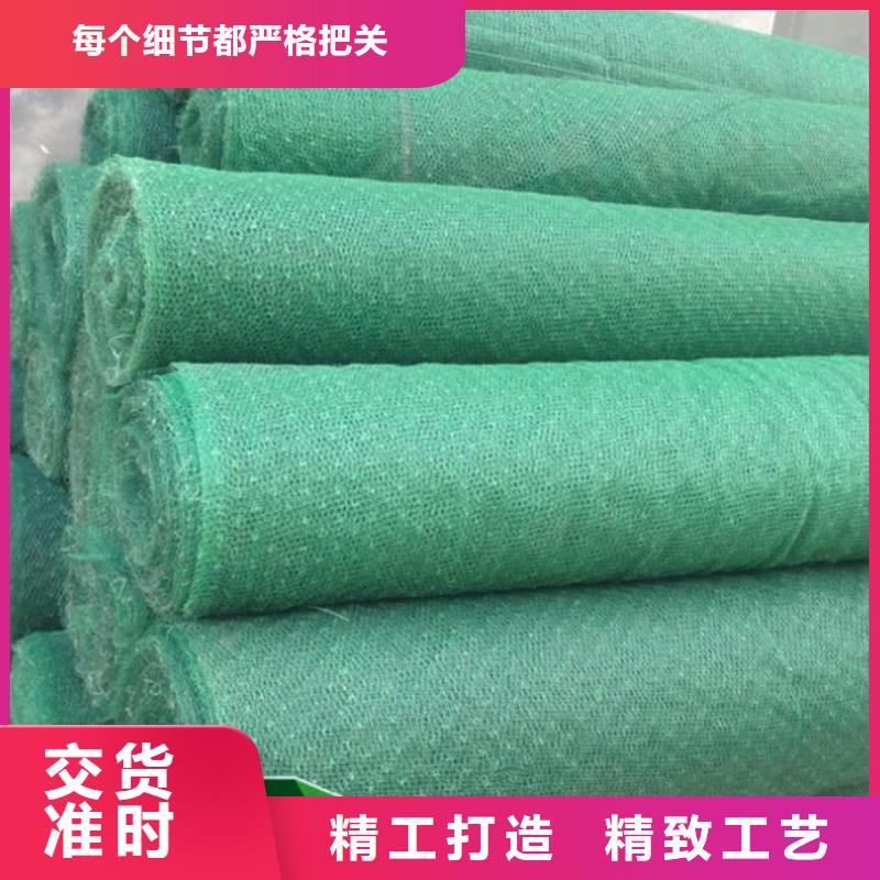 【三维植被网凸结点钢塑土工格栅实力厂家直销】当地供应商