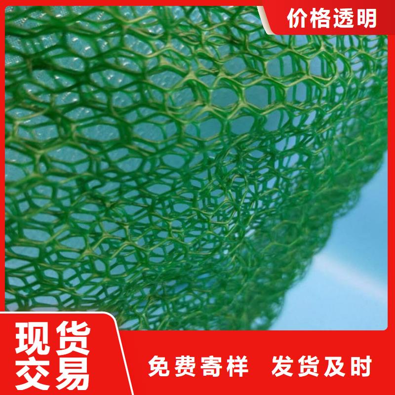 三维植被网_双向塑料土工格栅经验丰富质量放心本地经销商