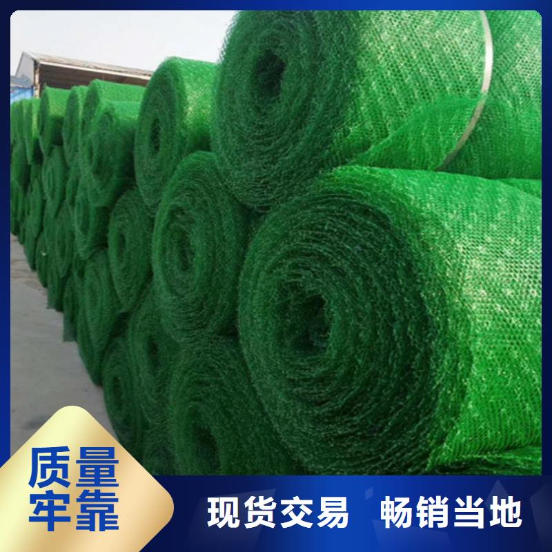 三维植被网,土工布价格质量检测实体厂家支持定制