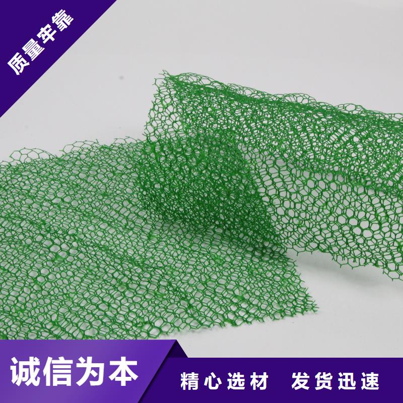 三维植被网钢塑土工格栅厂家直营本地生产商