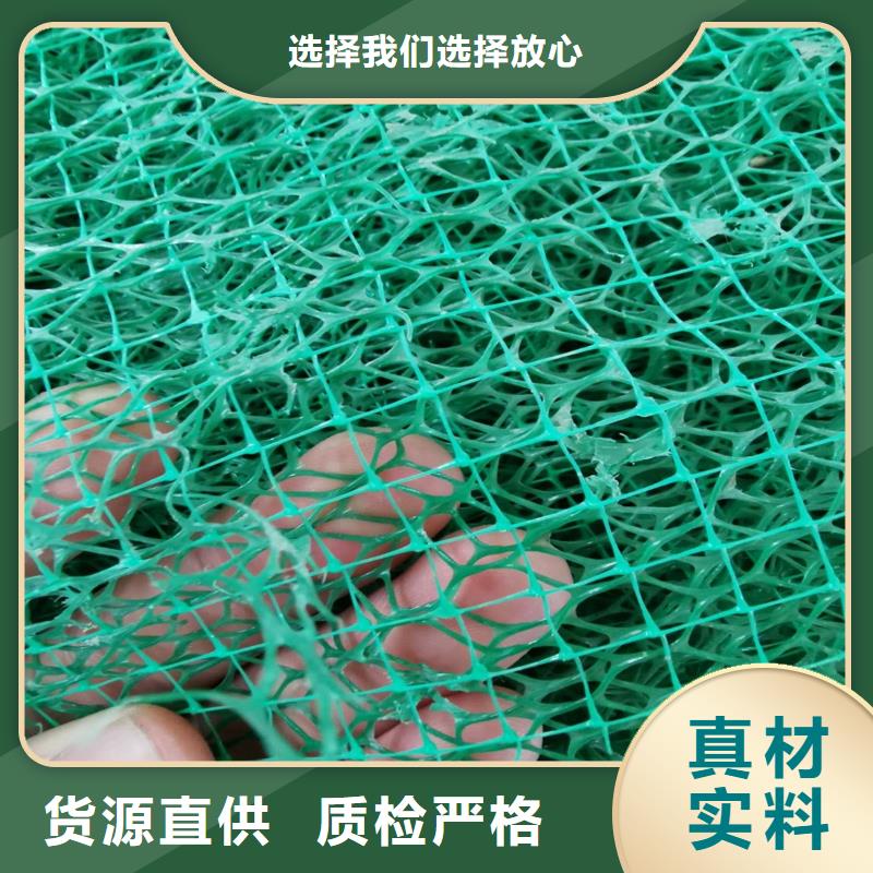 三维植被网土工席垫多种场景适用源厂供货