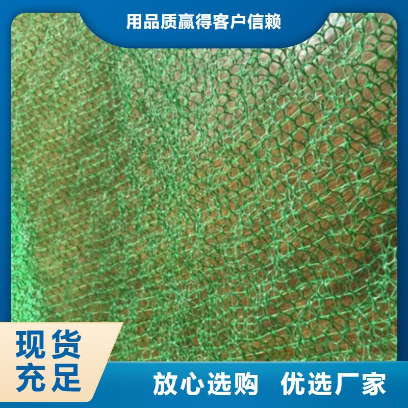 三维植被网,护坡土工网实地大厂产品优良