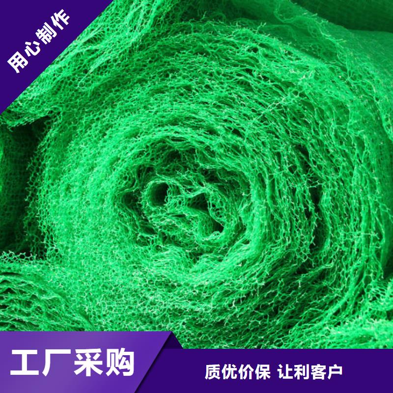 三维植被网,土工布工厂采购支持定制贴心售后