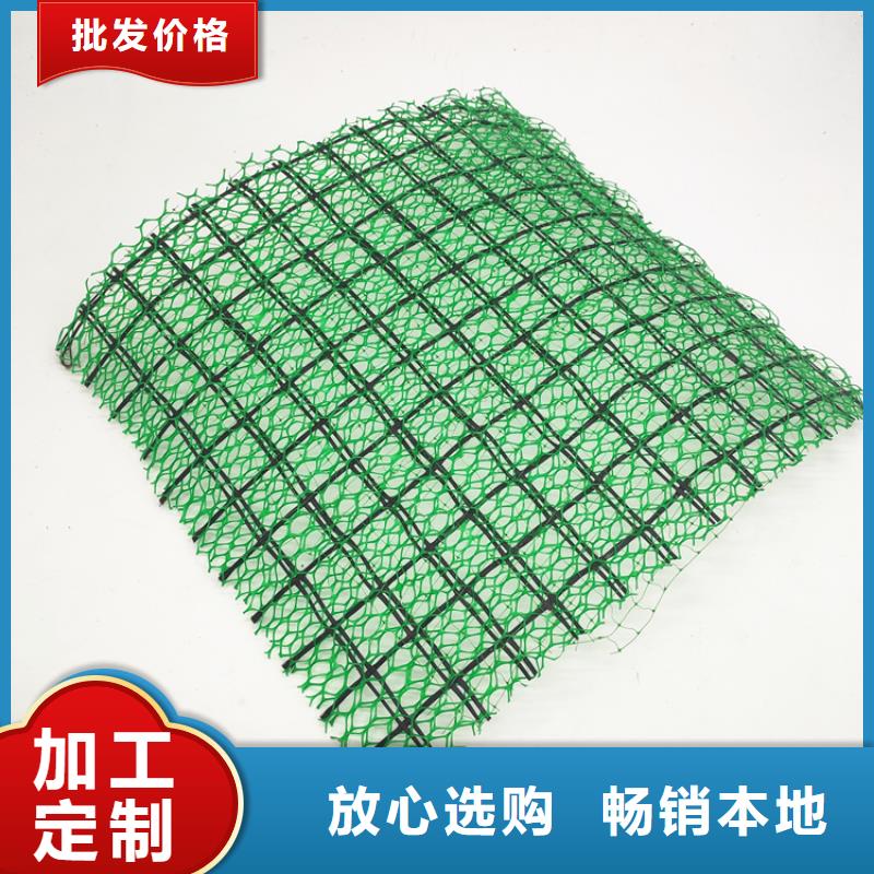 三维植被网三维水土保护毯用心制造同城经销商