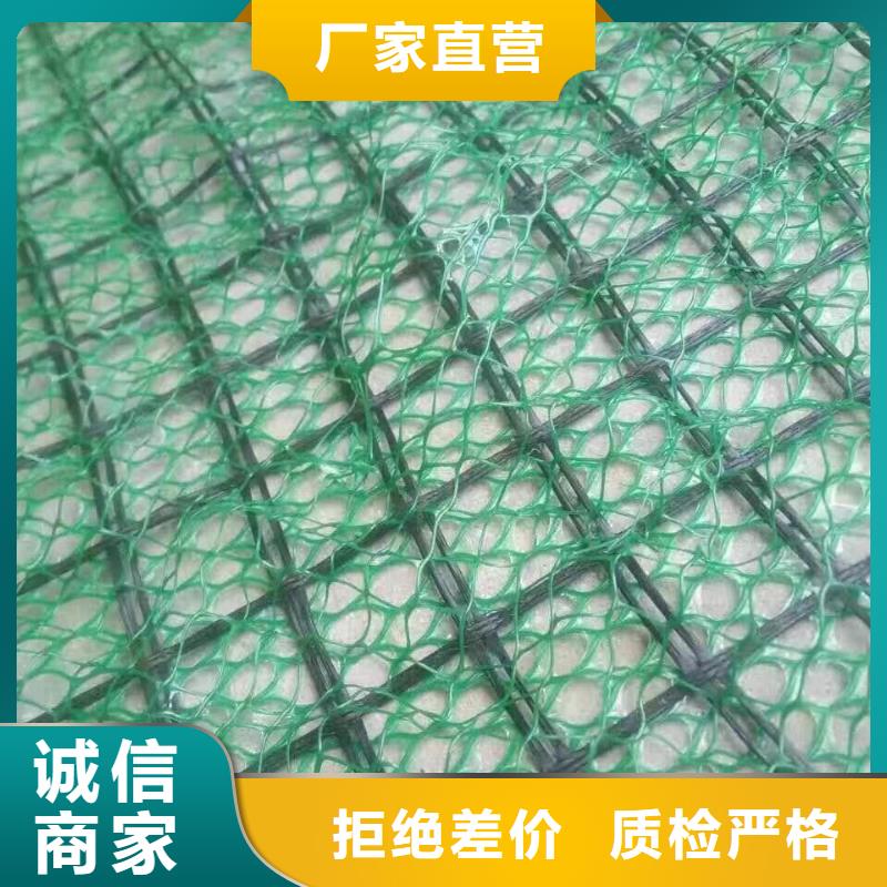 三维植被网膨润土防水毯工艺精细质保长久多种工艺